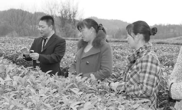 湖北省英山县：“望闻问切”开方子 闯出就业好路子
