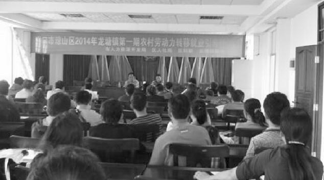 海南省海口市琼山区：创业带动就业 实干富民强镇 全力推进农村富余劳动力转移就业
