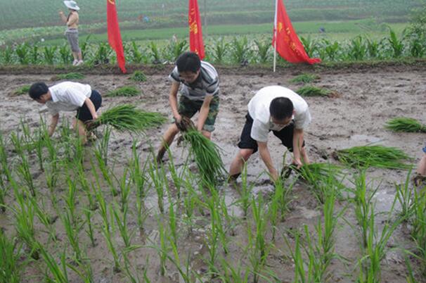 重庆市合川区三支一扶：从“角色转变”到“有位有为”