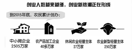 “80后”农民工返乡创业，有什么特点？