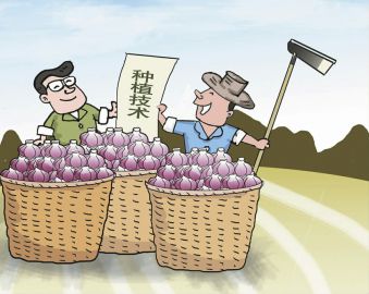 江西省高安市南门村返乡创业促村民走上致富路