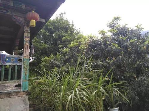 花儿美 枇杷香 甘蔗甜 墨脱农家小院就是你理想中的田园生活