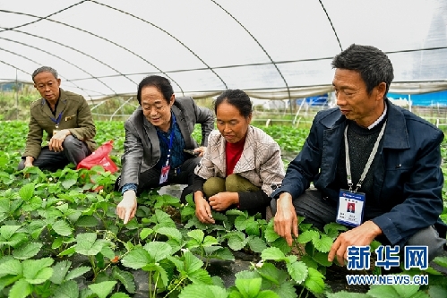 成都高新区：“互联网+”助力精准扶贫 创新脱贫攻坚路径