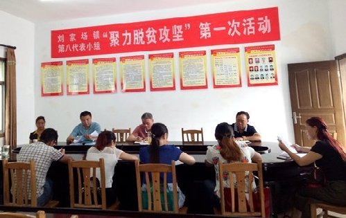 刘家场镇第八代表小组“聚力脱贫攻坚”第一次活动