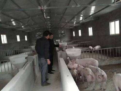 水沟社区生猪养殖场