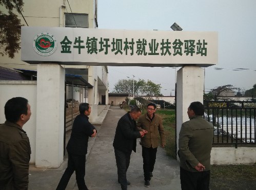 安徽庐江：就业扶贫驿站进山村入地头