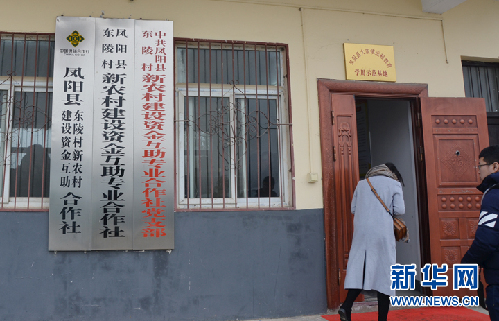 由'输血'变'造血'--安徽凤阳东陵村产业扶贫见成效