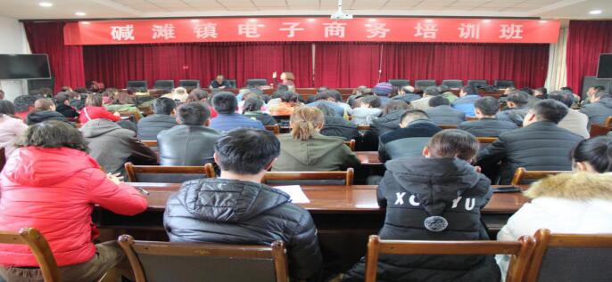 甘肃甘州：碱滩镇电子商务培训促进产业发展