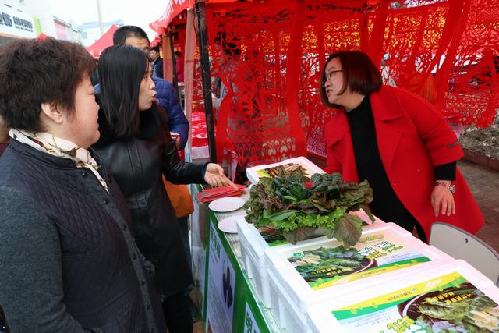 不忘初心 牢记使命 继往开来 再创辉煌——吉林省珲春市连续三年被评为省级农村劳动力转移就业先进县