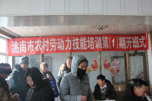 吉林省洮南市就业服务局扎实开展就业服务工作 推进城乡劳动力转移就业
