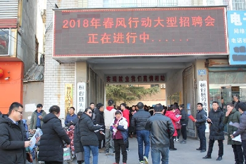 山东桓台：春风行动引来“归来雁”才市开张聚起“青年军”