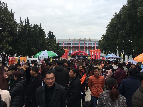 湖北应城：2018“春风行动”现场火爆