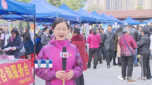 安徽：美丽家乡留住人心 家门口就业最幸福