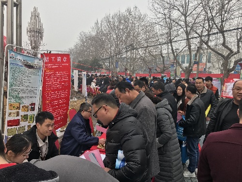 春风送岗，温暖人心——山东省微山县2018年春风行动大型招聘洽谈会圆满落幕