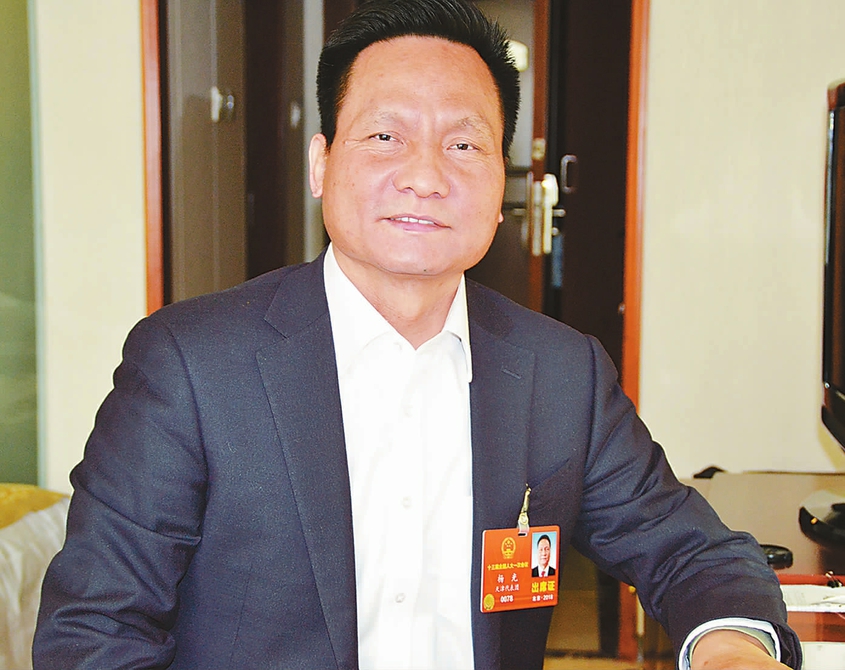 优化人才环境 打造人才高地——全国人大代表、天津市人社局局长杨光谈人才工作