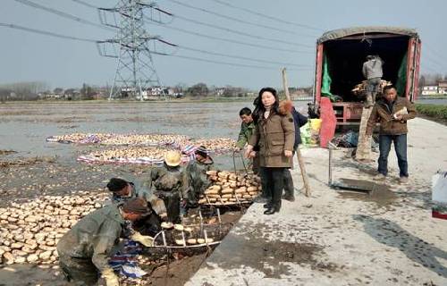 安徽庐江：有种力量叫感动，让我们在扶贫的路上风雨兼程
