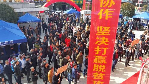 乡村居民家门口就能找到好“东家”——湖南省岳阳市平江县举办精准就业扶贫招聘会