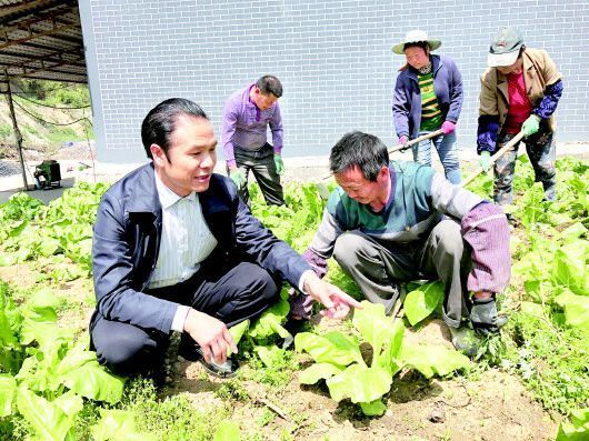 张明富：下乡创业带富乡亲