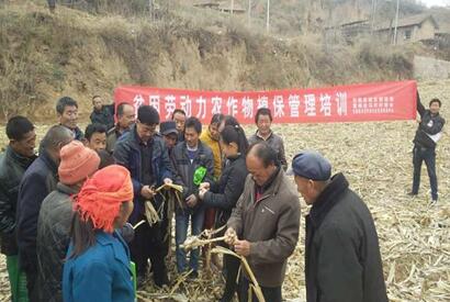 陕西宜君：技能培训点活脱贫致富“一盘棋”