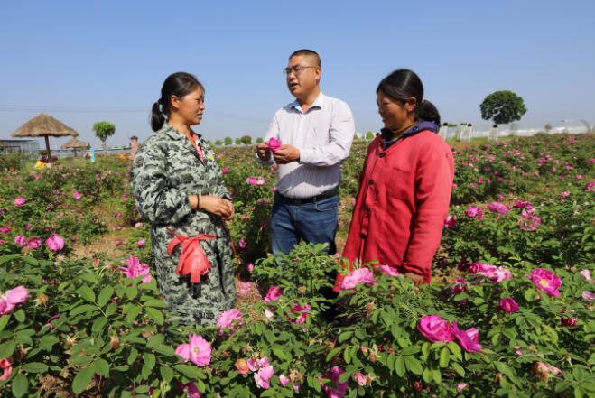 江西安福：新型职业农民实训忙