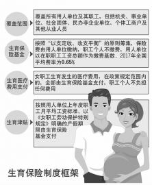 主动适应全面两孩政策确保生育保险待遇落实——人社部医疗保险司副司长王芳琳解读《关于做好当前生育保险工作的意见》