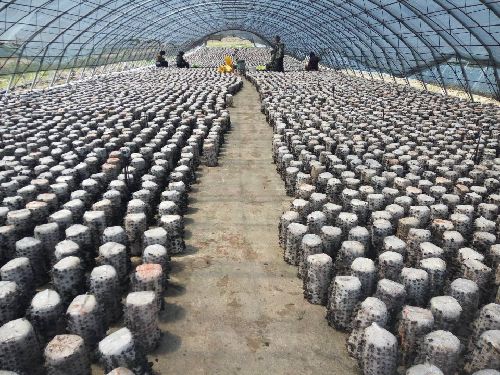 吉林省蛟河市搭建“三位一体”平台助推农民工转移就业