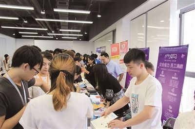 一个村何以孵化出14只“独角兽”？