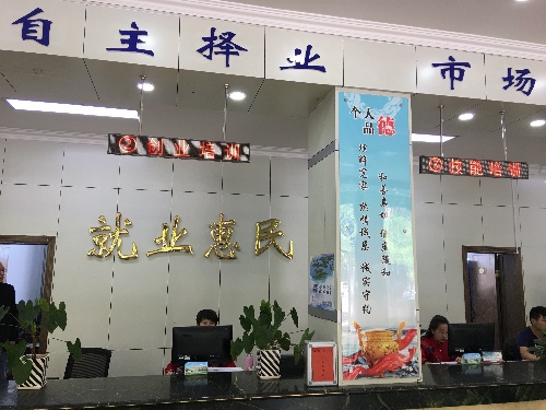 宁夏石嘴山：大武口区重点民营企业专场招聘会为您“谋岗位”