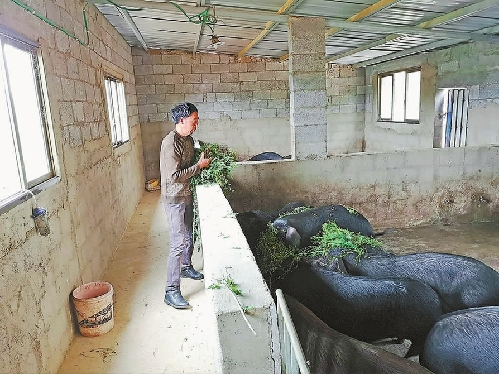 沟壑纵横九道弯 人社扶贫送进山——贵州省毕节市山乡人社扶贫工作见闻