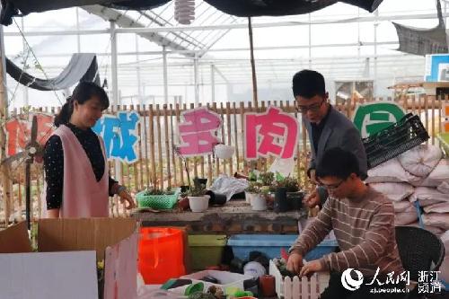浙江衢州柯城：回乡创业种多肉 90后青年梦想启航
