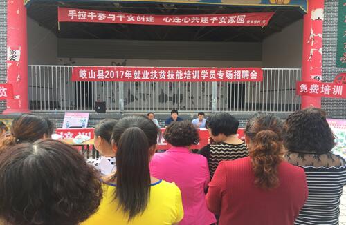 陕西岐山：倾力打造培训“1+N”模式 聚力助推就业扶贫工作