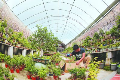 福建漳州：越来越多80、90后“城归”返乡创业