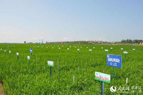 黑龙江省虎林市进入全国农村创业创新典型县范例名单