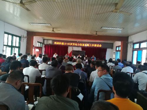 贵州省天柱县“四步棋”做好劳动力信息数据采集工作助推就业脱贫