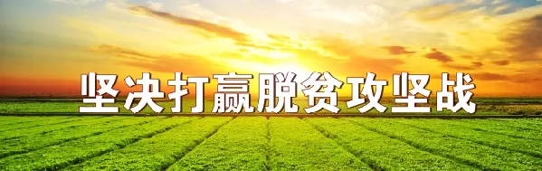 不破楼兰终不还：青海省人社部门的扶贫纪实