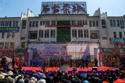 安徽石台：五招“擒拿手”看石台攻坚克难