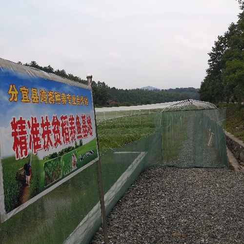 江西分宜：开展就业扶贫督查工作