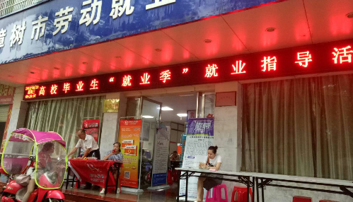 江西省樟树市积极开展高校毕业生“就业季”专场招聘会活动