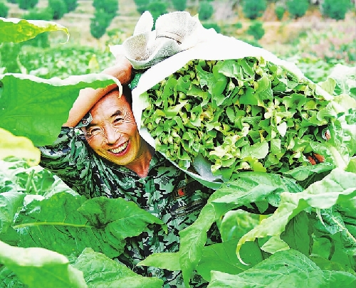 江西省南丰县扶贫基地助农民增收