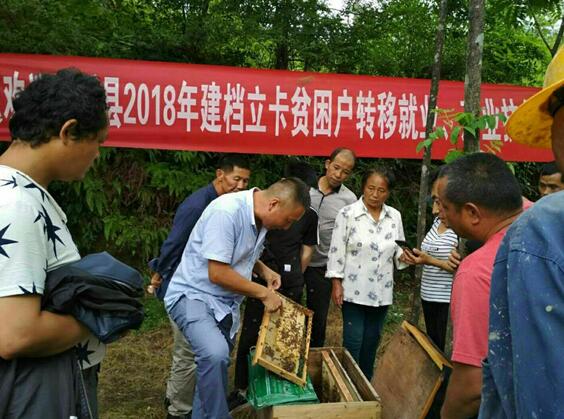 江西资溪：农村实用技术培训助力就业扶贫