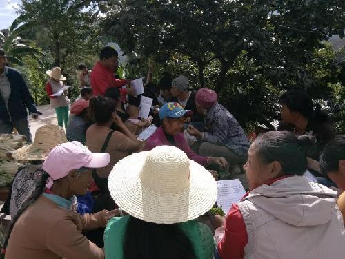 云南省南涧县打好“四张牌”，转出“新气象”