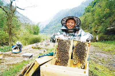 贵州赤水：大力培育农村“技术能手”