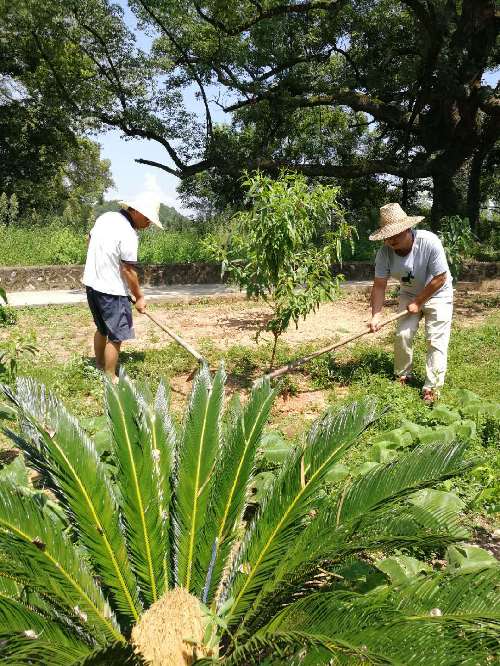 绣”好就业扶贫“花”——记江西省宜丰县良田铺村驻村第一书记熊仕睿