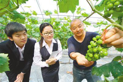 邮储银行北京分行信贷经理（左、中）在葡萄种植园进行贷前调查。