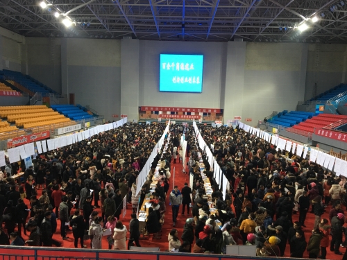 2月12日，南京市高淳区春风行动招聘会分会场