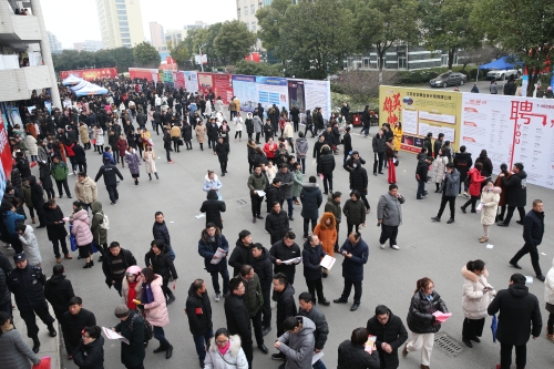 图为：泰兴市2019年新春人才招聘会暨人才交流洽谈会现场2
