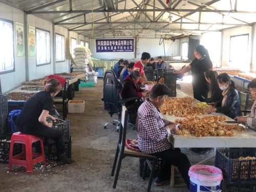 阿荣旗就业扶贫车间
