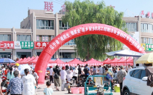 朝阳：辽宁省“保民生、稳就业”返乡留乡农民工招聘活动暨朝阳市龙城区专场招聘会在联合镇成功举办1
