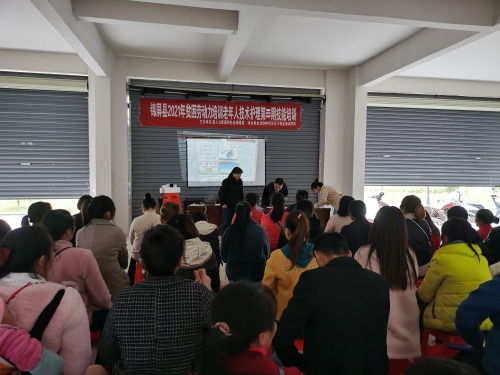 QQ图片20210519144644