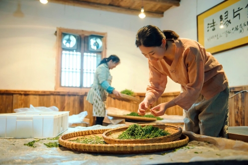 微信图片_20191023151807